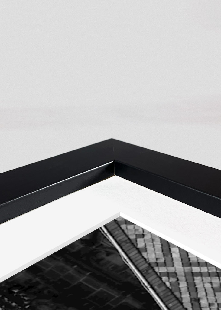 Sankt Vitus Domkirke