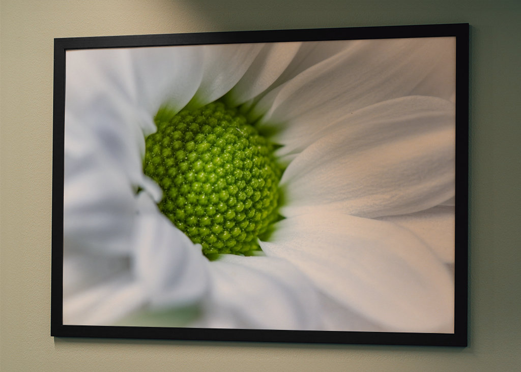 Květina se zeleným srdcem