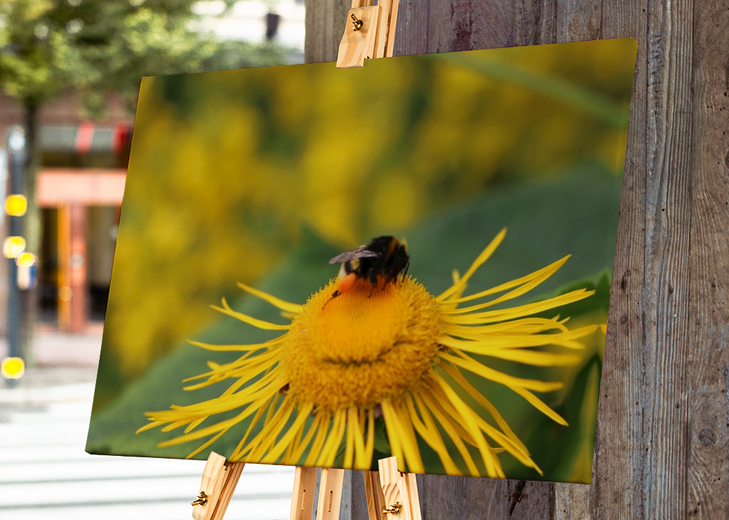 Hummel in gelber Blüte