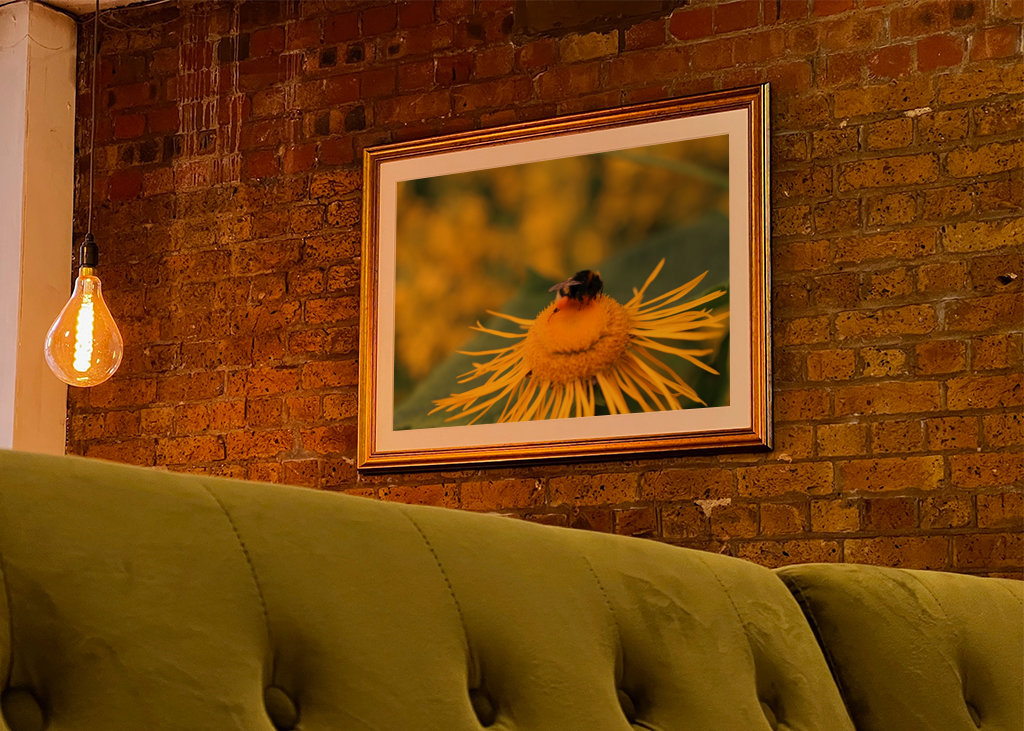 Hummel in gelber Blüte