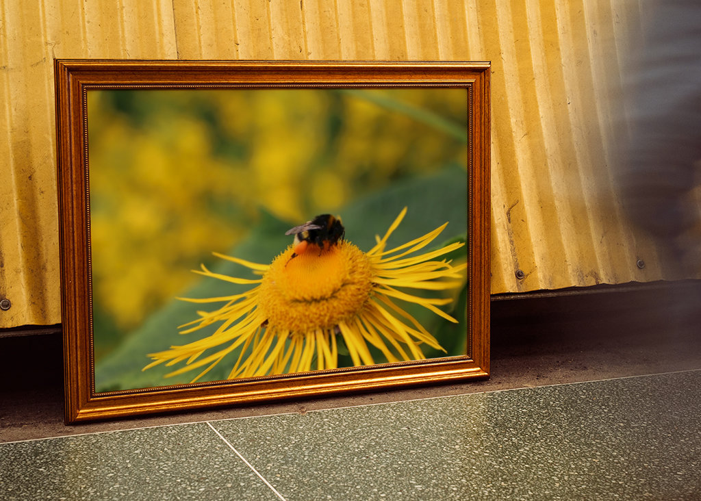 Hummel in gelber Blüte