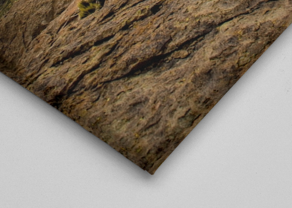 Auf dem Gipfel der Welt