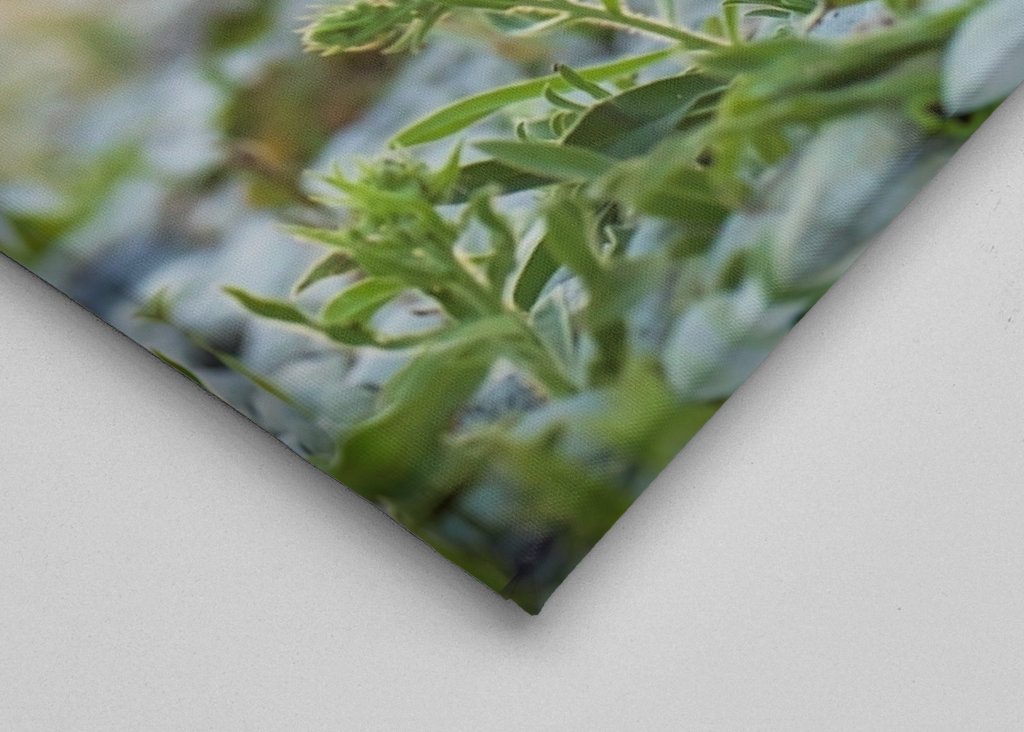 Blaues Feuer bei Sonnenuntergang