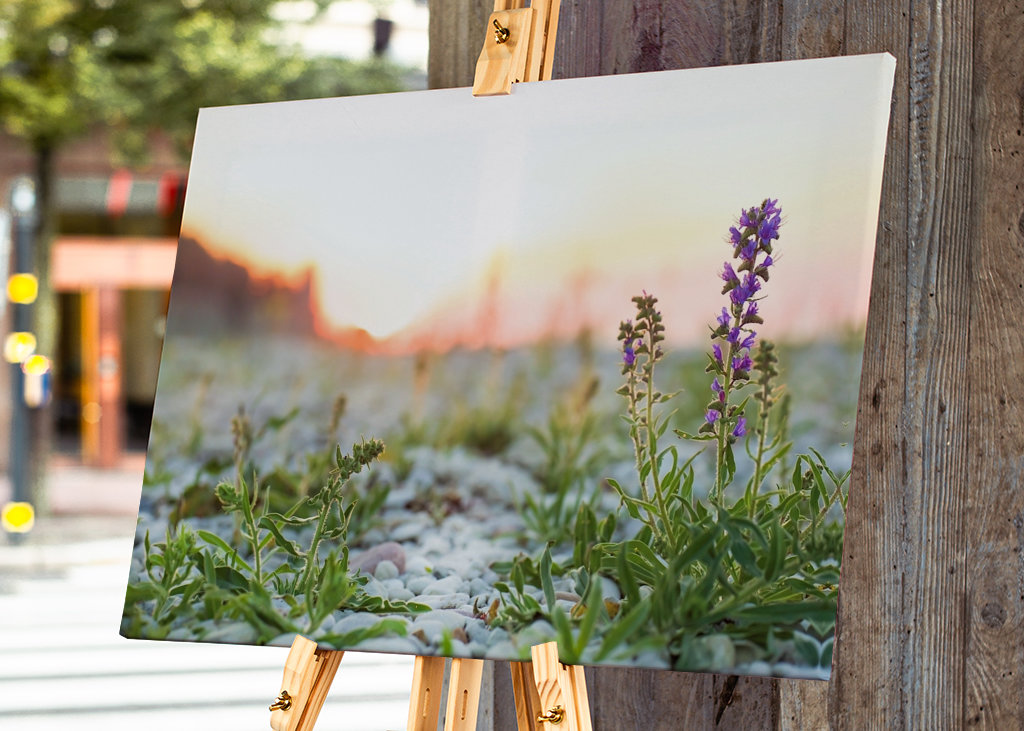 Blaues Feuer bei Sonnenuntergang
