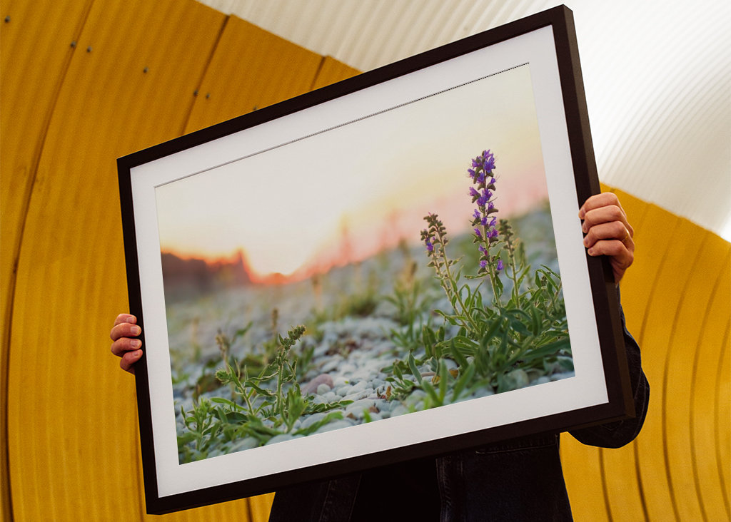 Blaues Feuer bei Sonnenuntergang