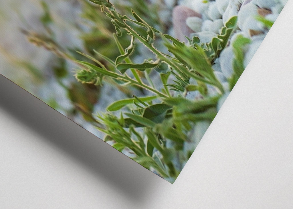 Blaues Feuer bei Sonnenuntergang