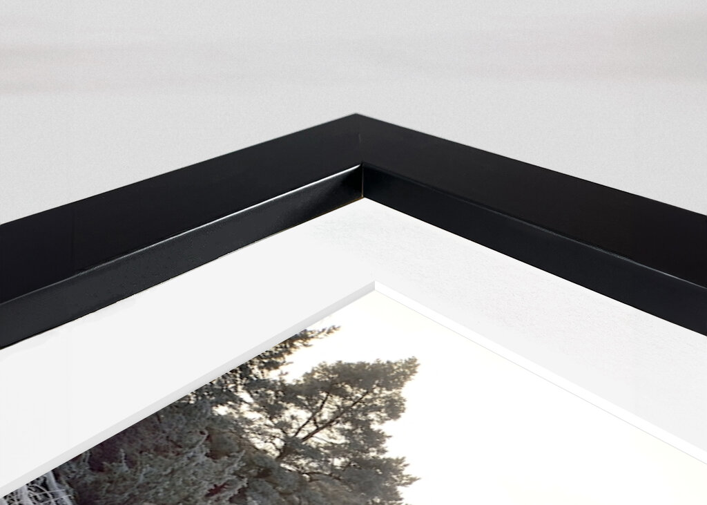 Mlha nad jezerem Vänern