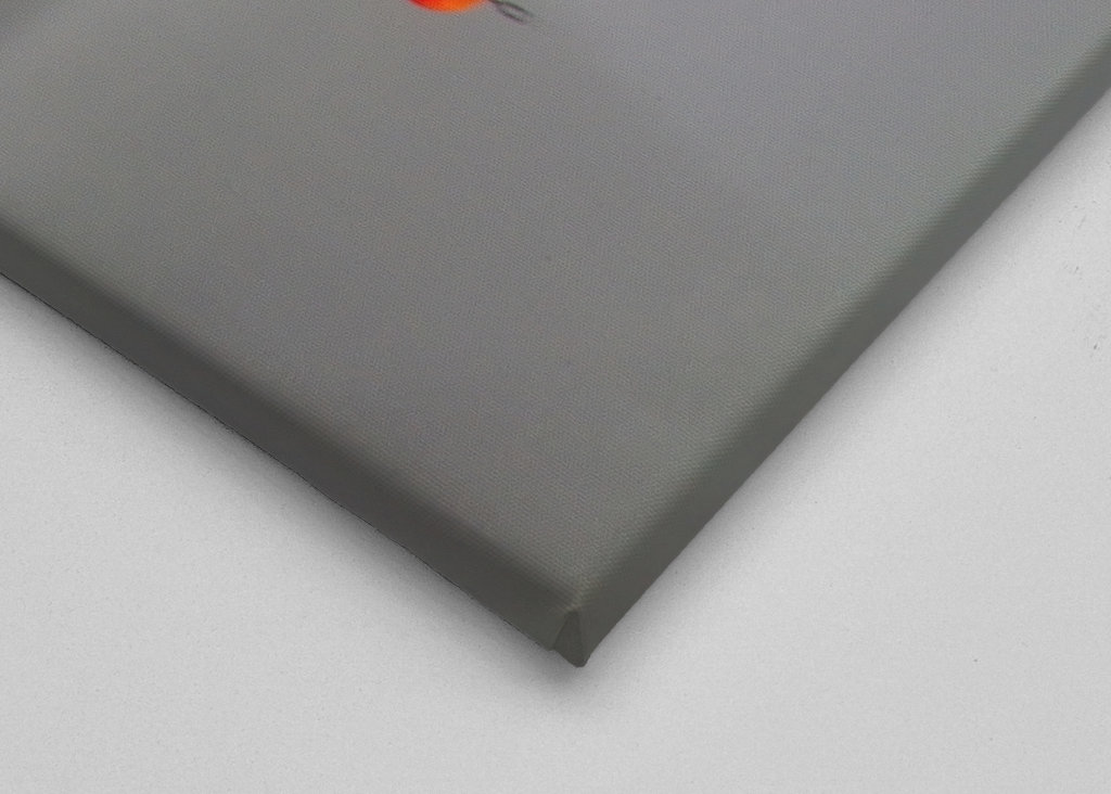 Mlhavý den u jezera