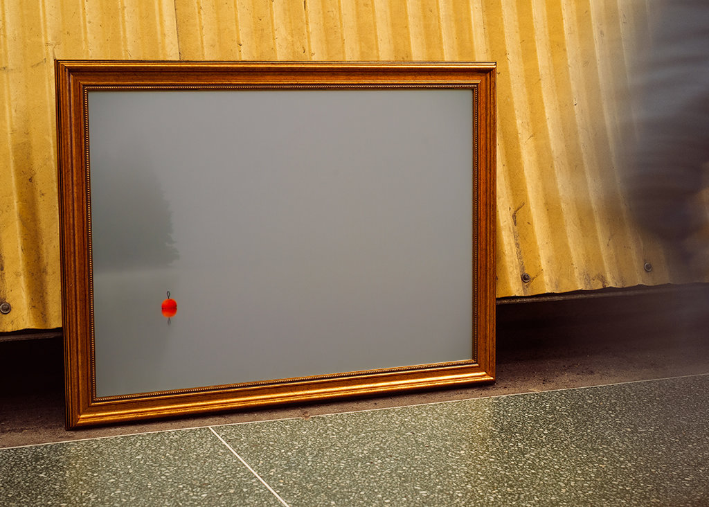 Mlhavý den u jezera