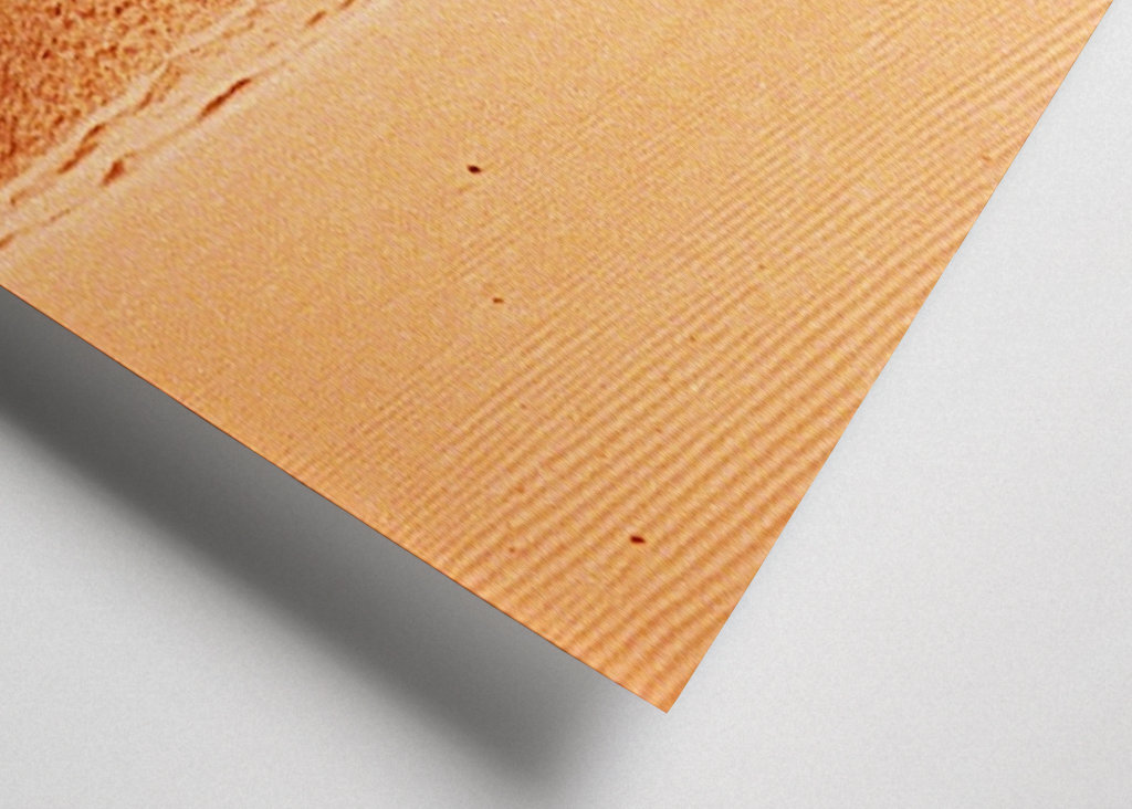 Červené písečné duny