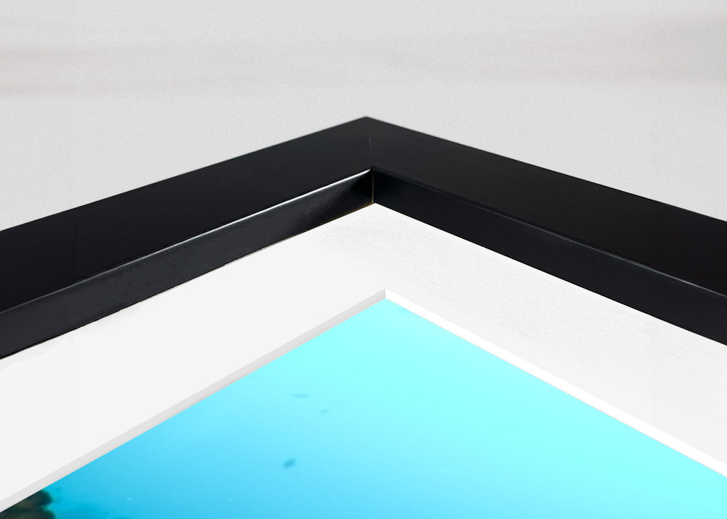 Turtle from Moalboal