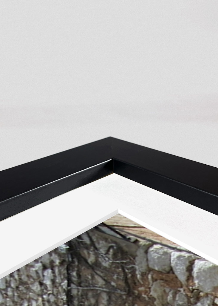 Lépcsőház a sikátorban