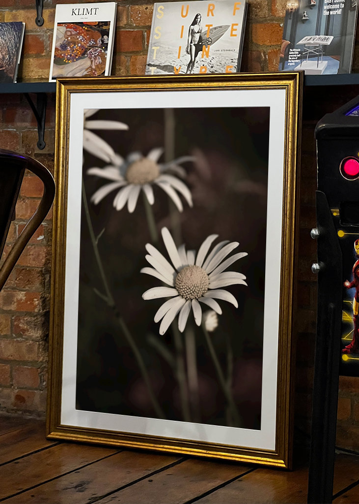 Margaritas bajo el sol de la tarde