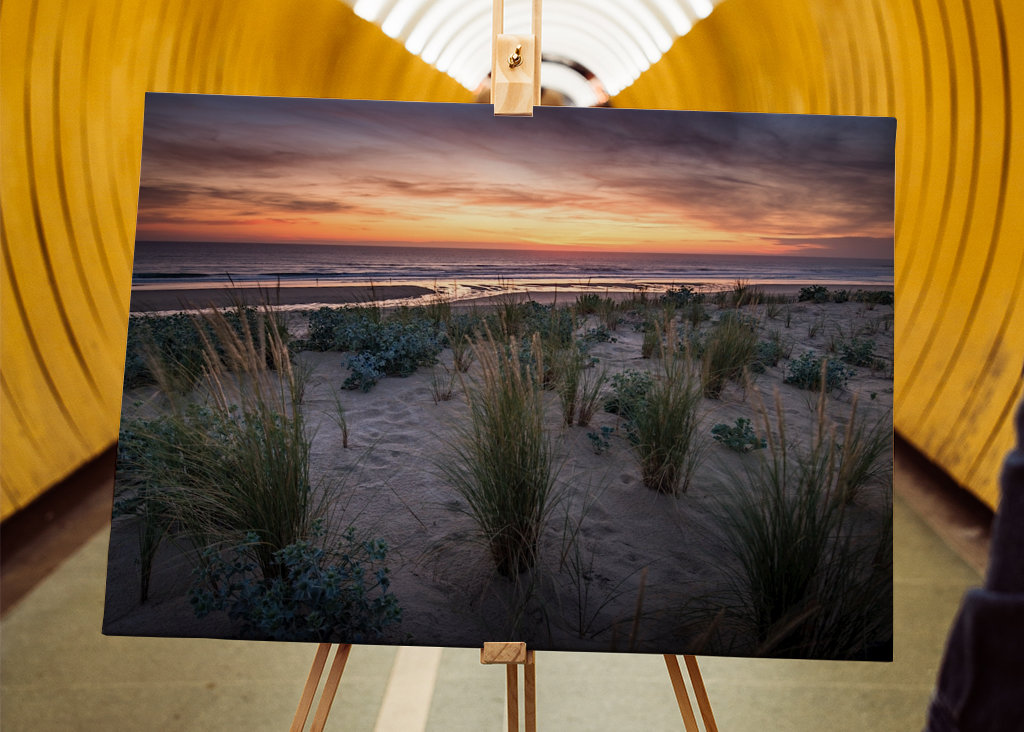 The dunes in the sunset light