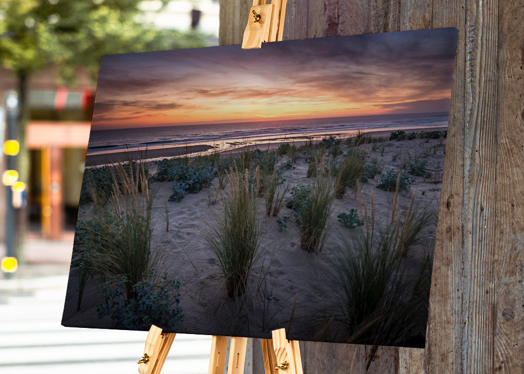 The dunes in the sunset light