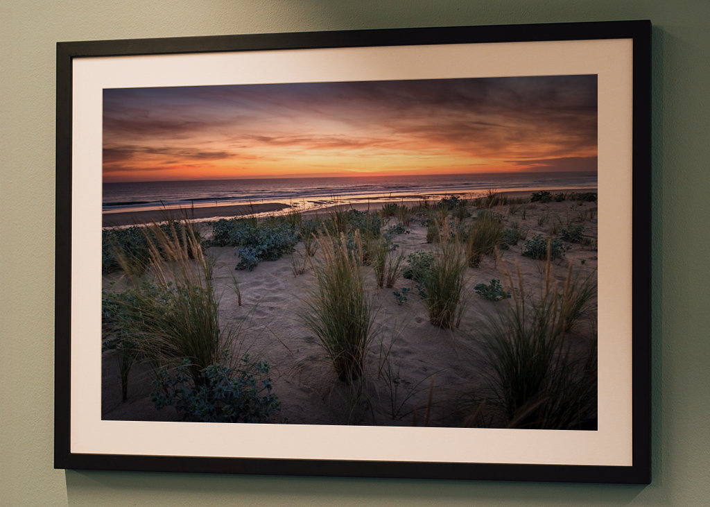The dunes in the sunset light