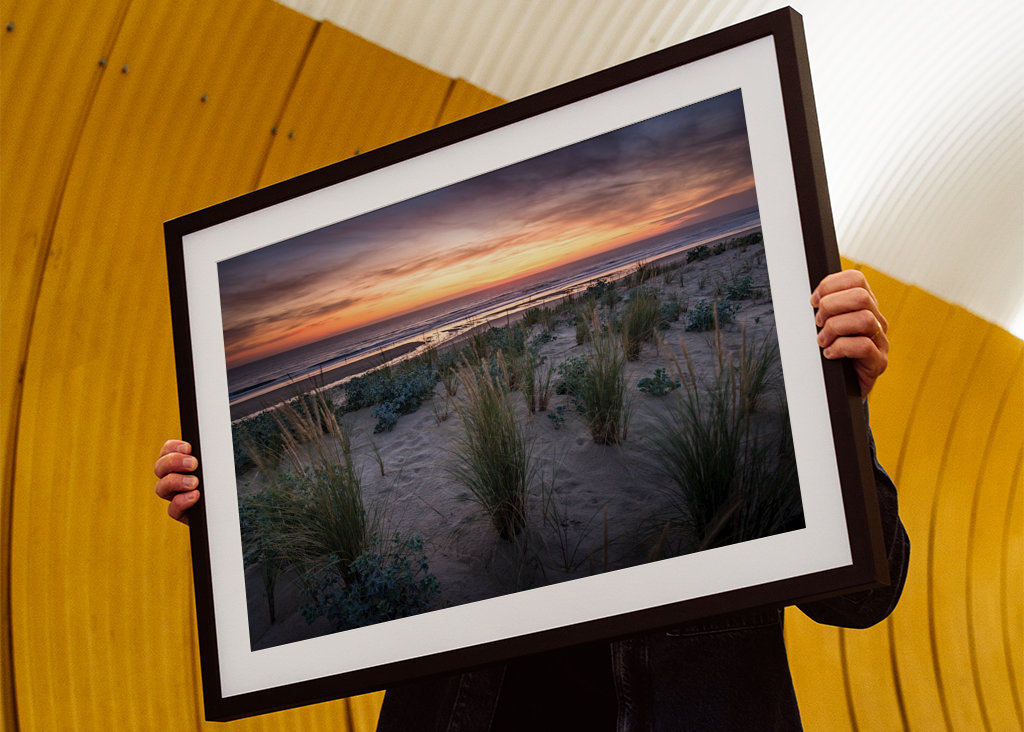 The dunes in the sunset light