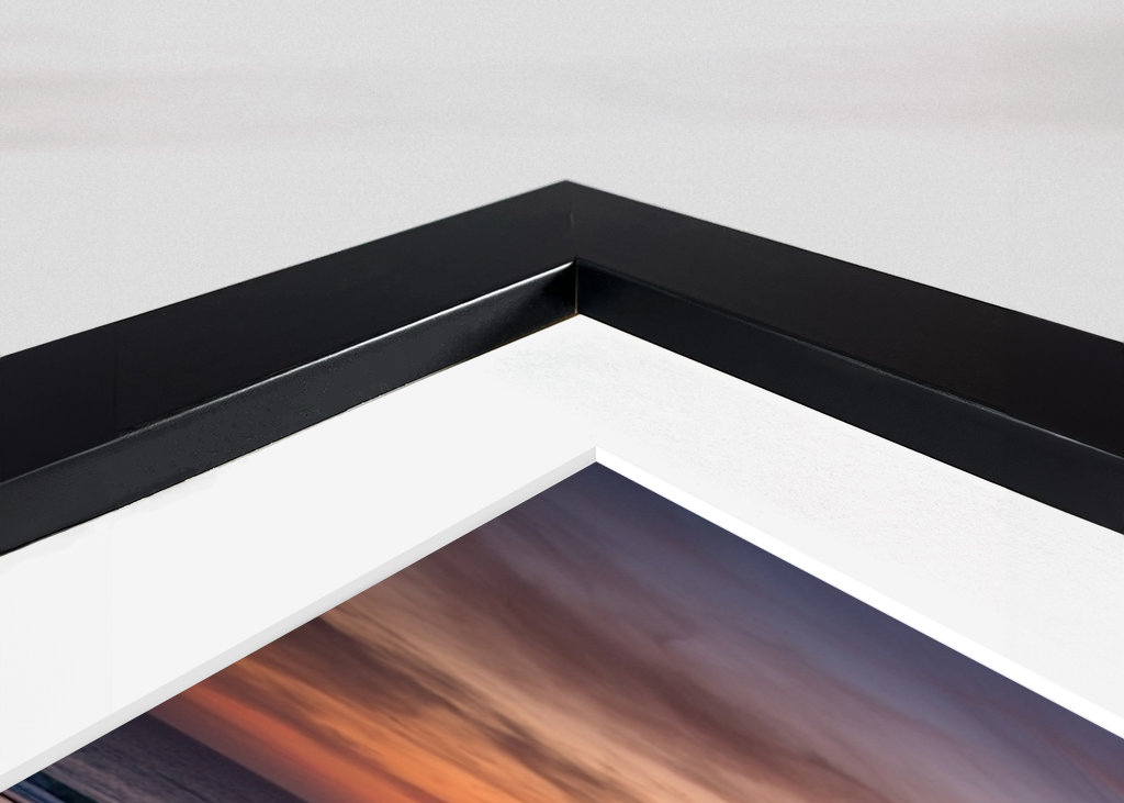 The dunes in the sunset light