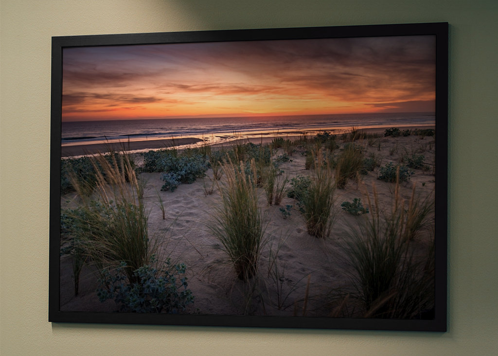 The dunes in the sunset light