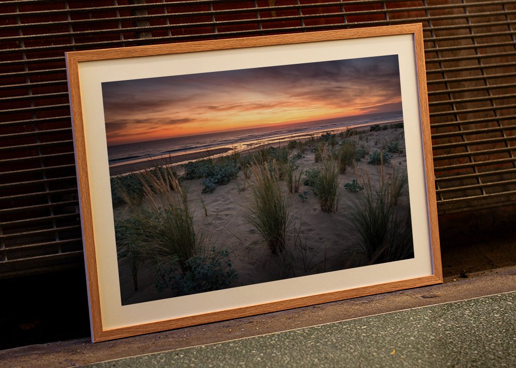 The dunes in the sunset light