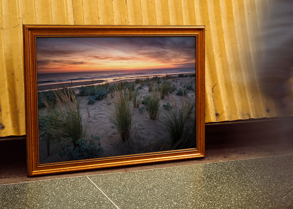 The dunes in the sunset light