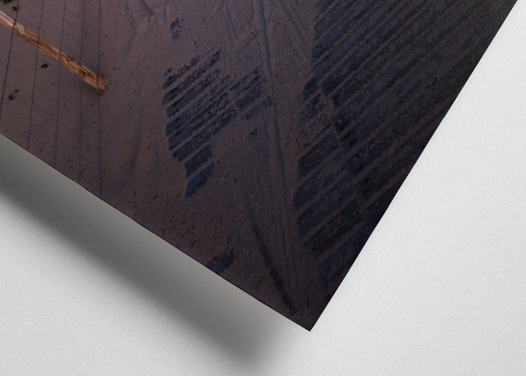 The moon lights my way