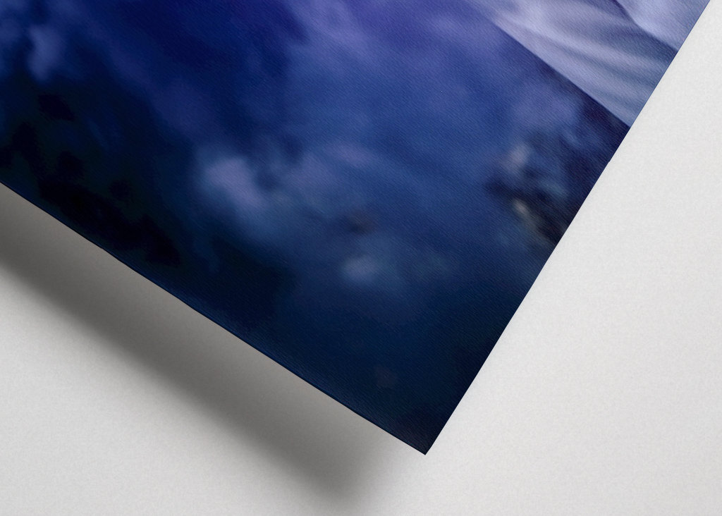 Criatura del bosque humeante