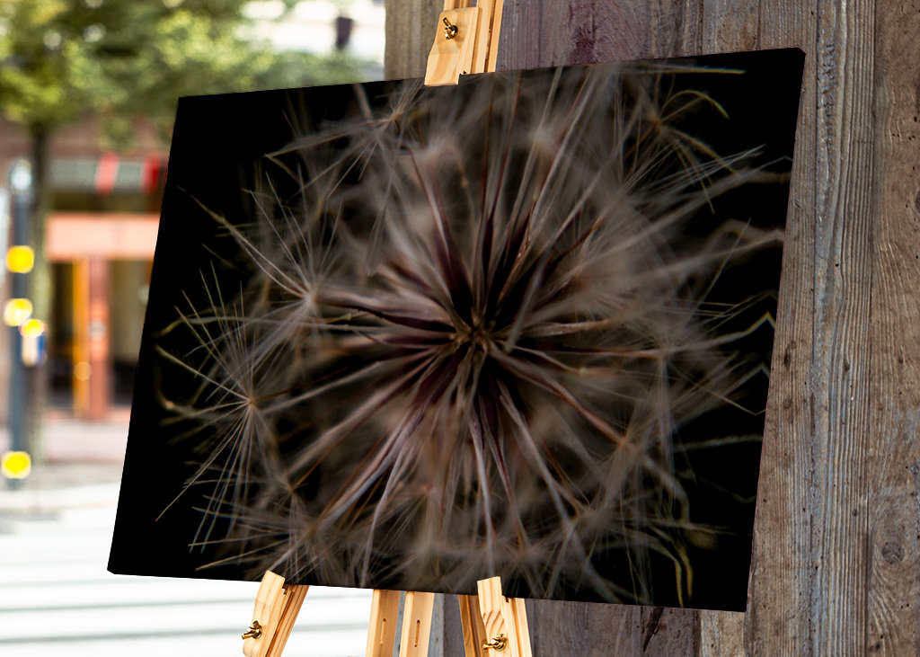 Blume, die wir blasen