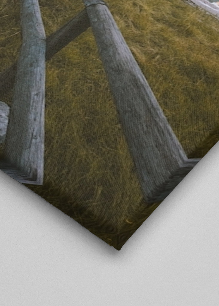 Přímo do divočiny.