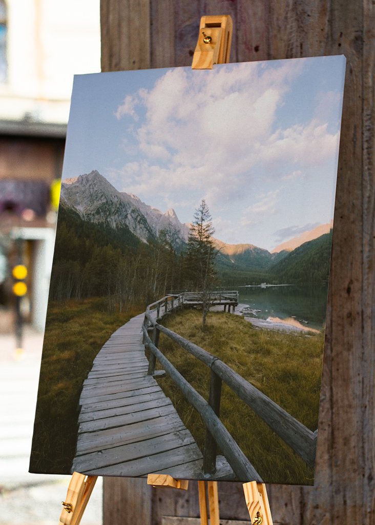 Přímo do divočiny.