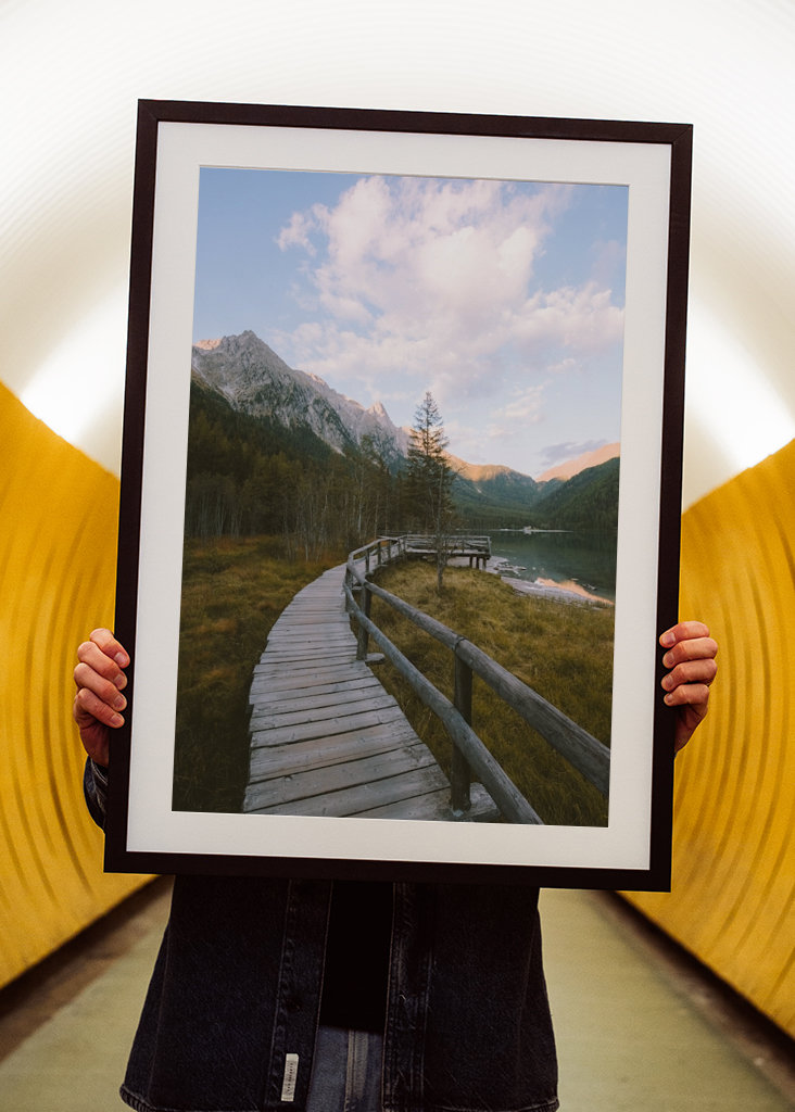 Přímo do divočiny.