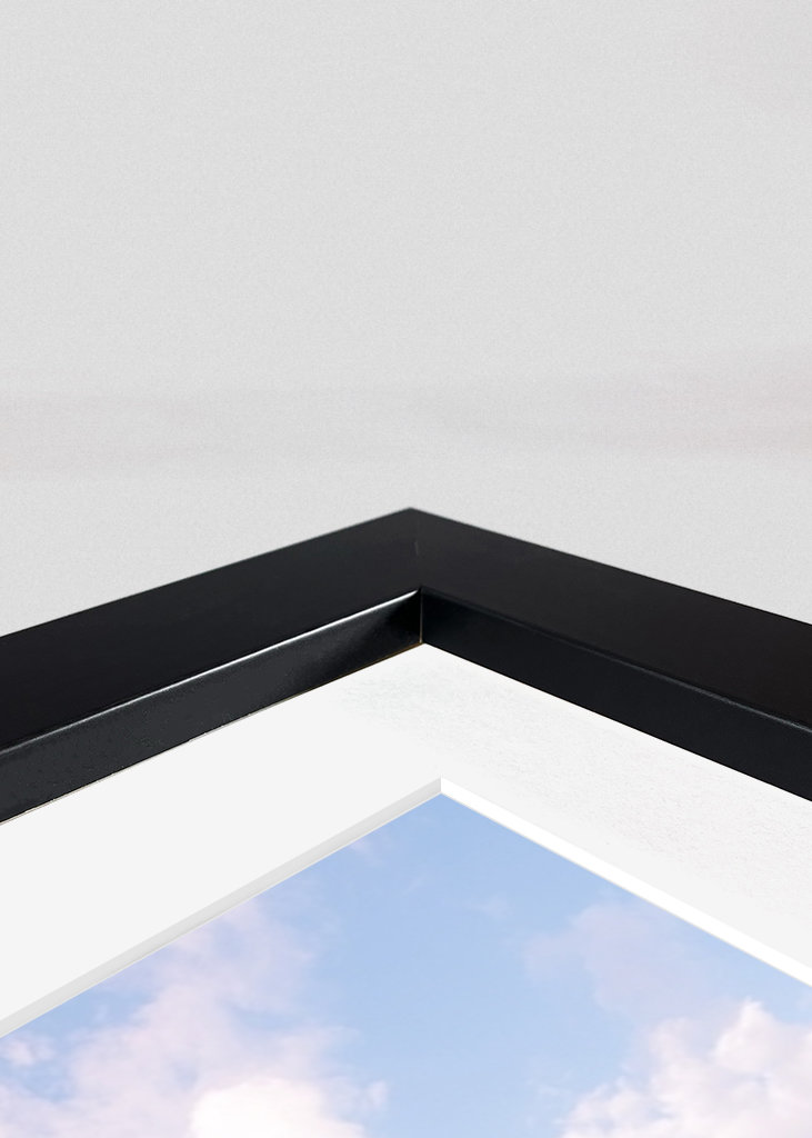 Přímo do divočiny.