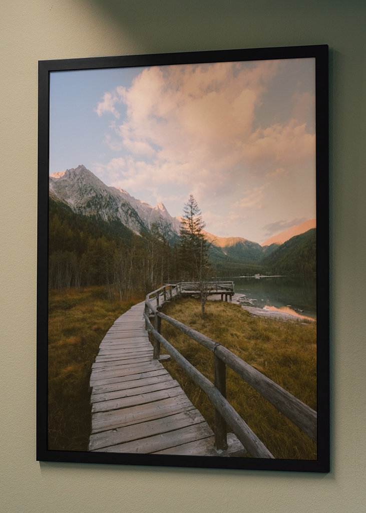 Přímo do divočiny.