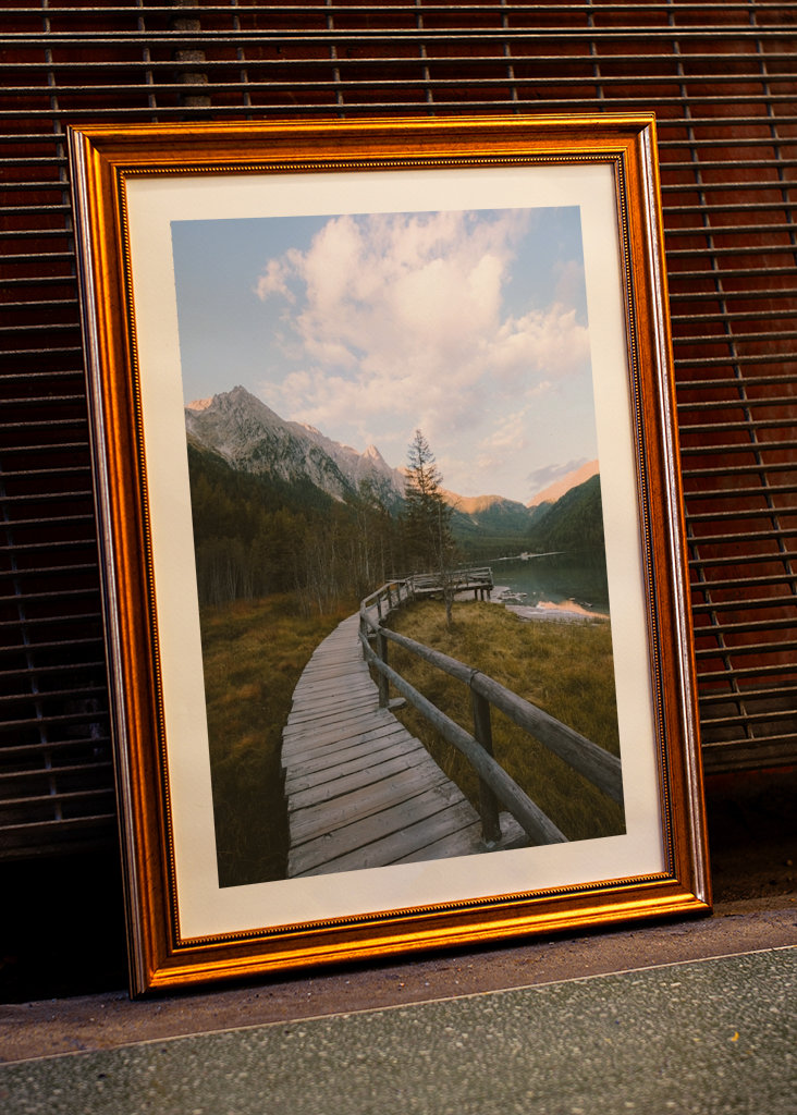 Přímo do divočiny.