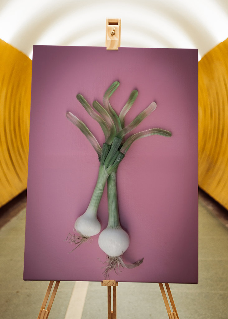 Sweet onion