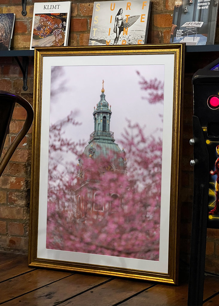 Nydelig kirsebærblomst