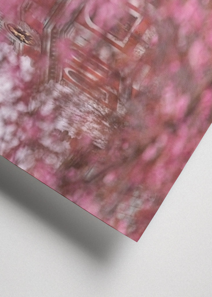 Nydelig kirsebærblomst