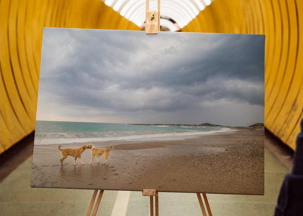 Trzymanie się razem