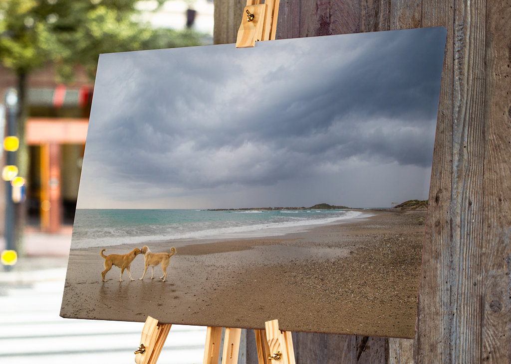 Trzymanie się razem