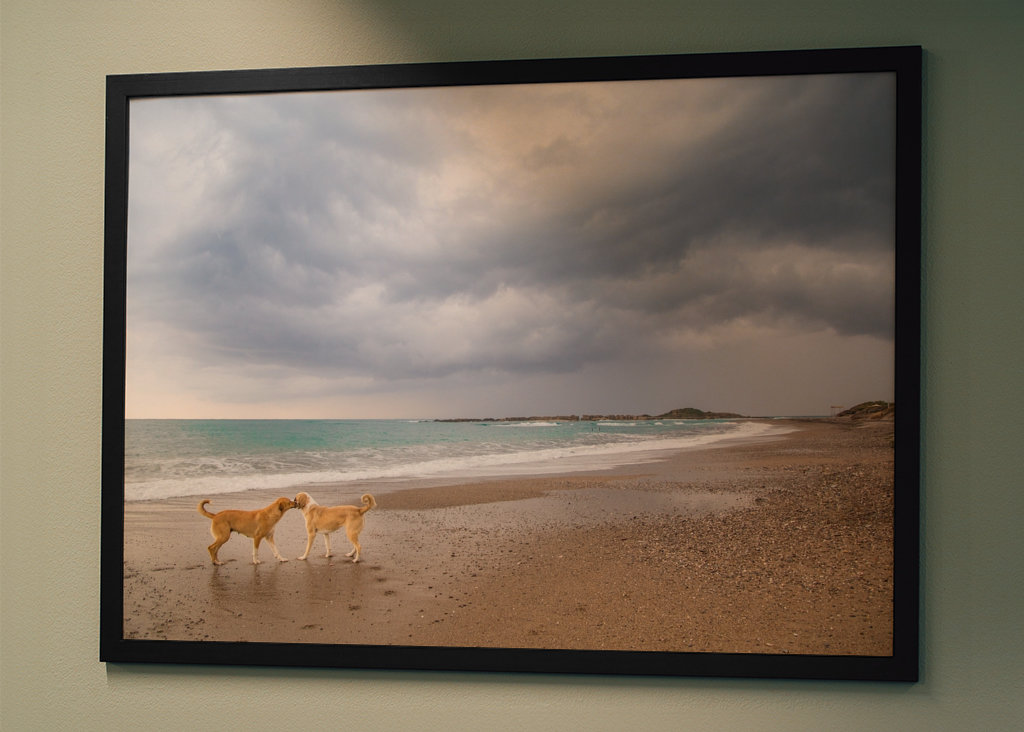 Trzymanie się razem