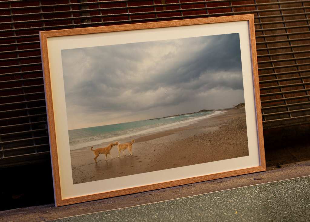 Trzymanie się razem