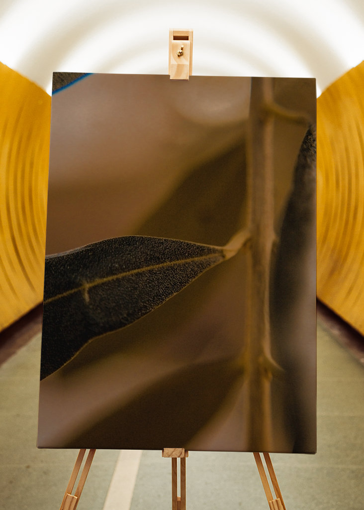 La bellezza della semplicità