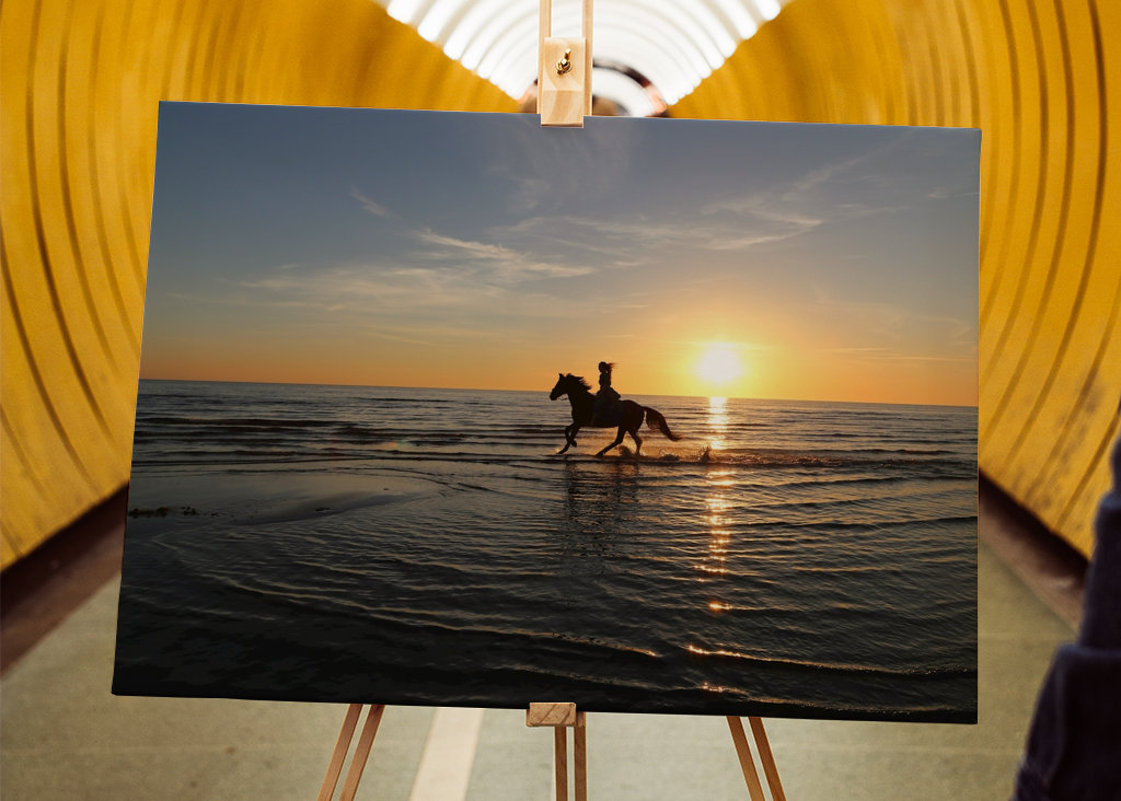 Freiheit - zu Pferd bei Sonnenuntergang