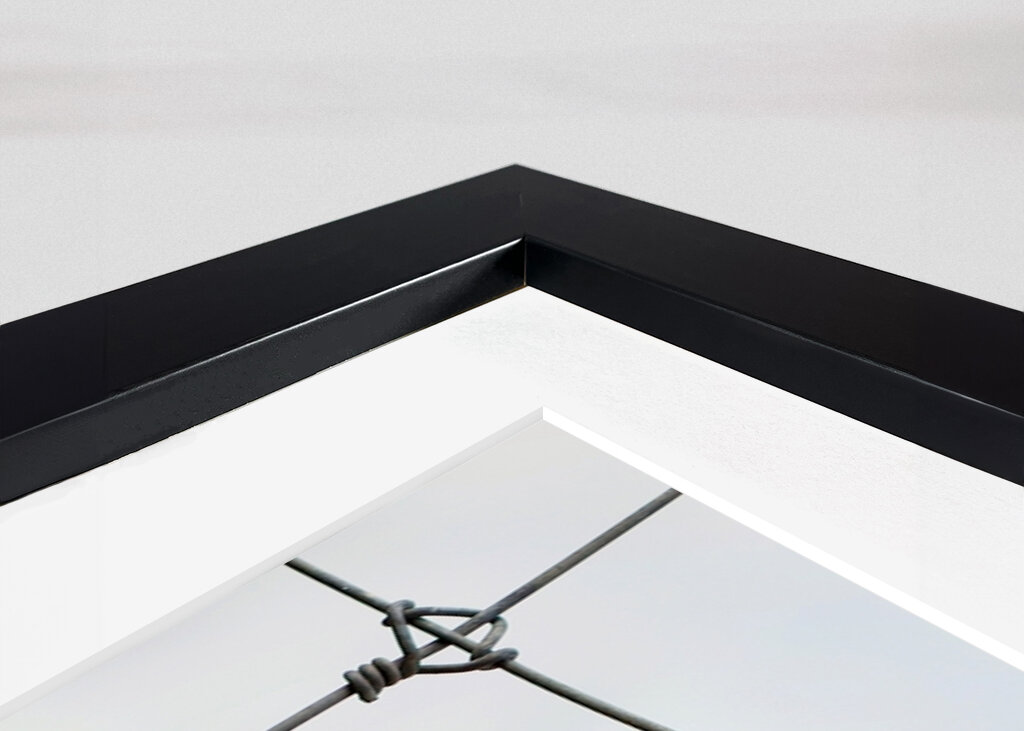 Ingelijste struisvogel