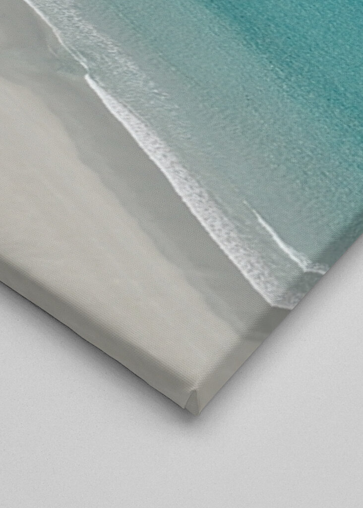 Palmtrees or Pinetrees