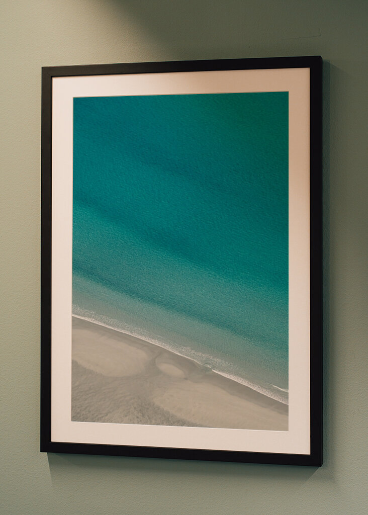 Palmtrees or Pinetrees