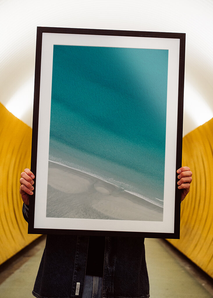 Palmtrees or Pinetrees