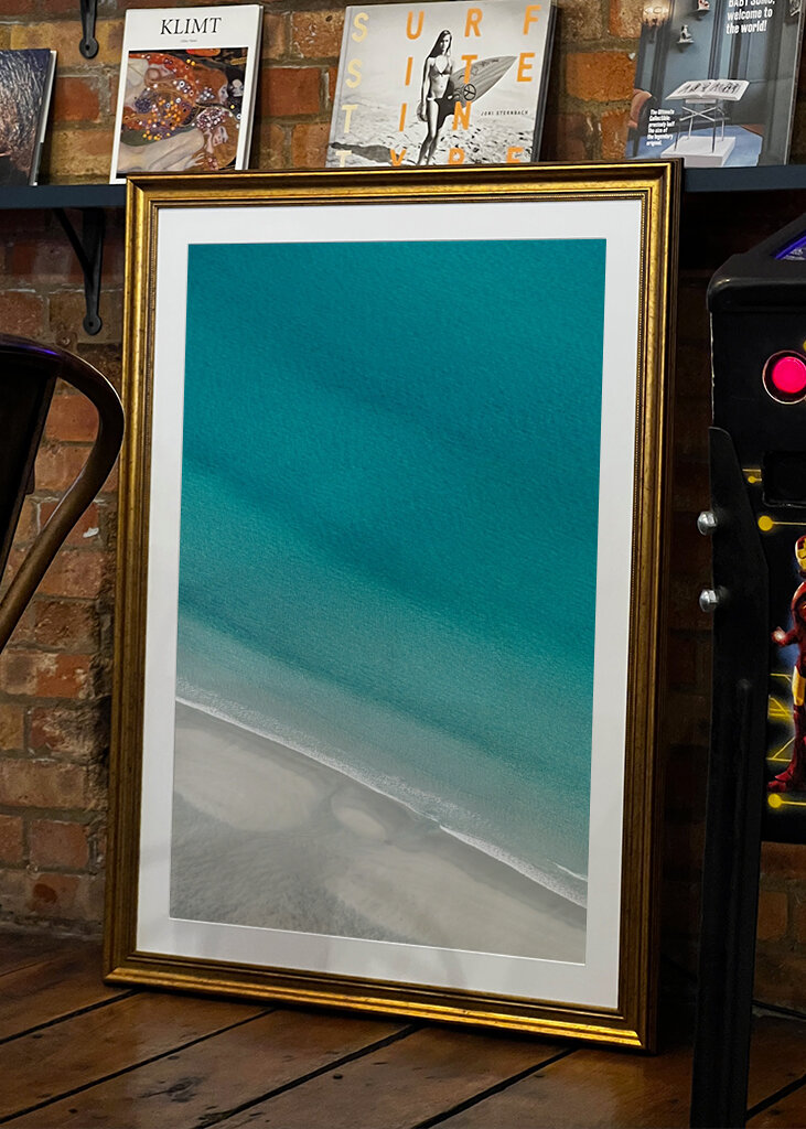 Palmtrees or Pinetrees