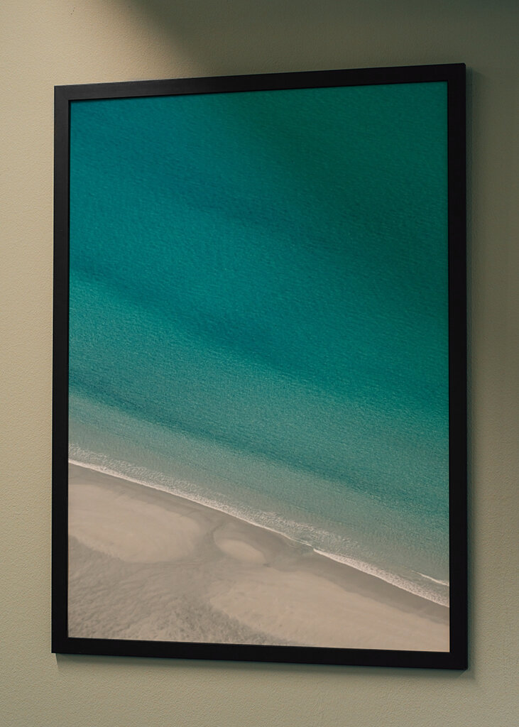 Palmtrees or Pinetrees