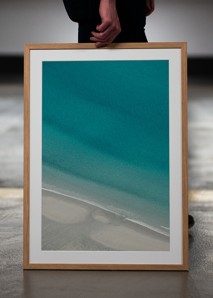 Palmtrees or Pinetrees